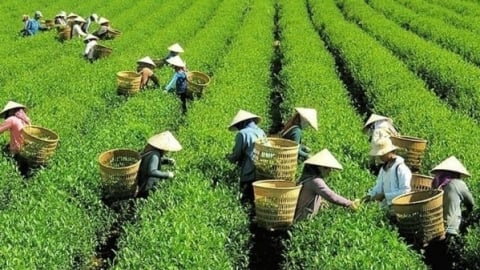 Đề xuất giảm phí, lệ phí hỗ trợ sản xuất, kinh doanh