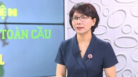 Thúc đẩy tiến độ triển khai Khung Đa dạng sinh học toàn cầu Côn Minh-Montreal