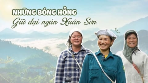 Những bóng hồng giữ đại ngàn Xuân Sơn
