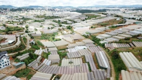 Mối nguy rác thải nhựa trong nông nghiệp