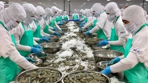 Từ dòng chảy nông sản đến những nhịp cầu kết nối chiến lược