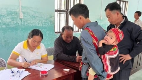 Gắn kết người dân cao nguyên đá Đồng Văn với rừng