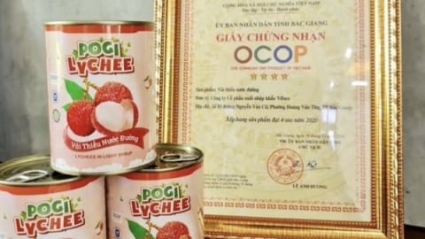 Thành phố Bắc Giang dẫn đầu toàn tỉnh về số lượng sản phẩm OCOP