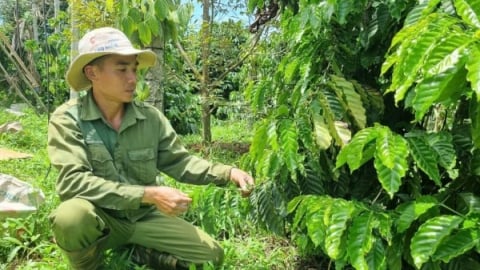 Làm nông nghiệp hữu cơ không chỉ đủ sống mà để sống có trách nhiệm