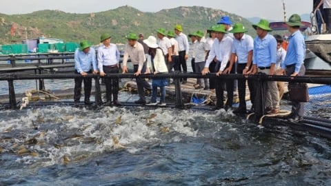 Đến năm 2030, kinh tế biển đóng góp 10% GDP cả nước
