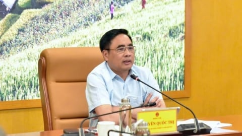 Ưu tiên ổn định ngành chế biến gỗ, hoàn thiện pháp lý chính quyền cơ sở