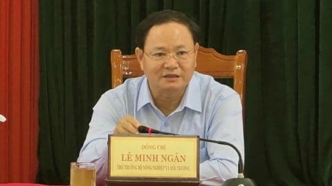 Không để quá trình sáp nhập ảnh hưởng đến hoạt động của ngành