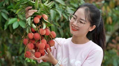Giữ mạch đầu tư lâu bền cho nông sản Việt