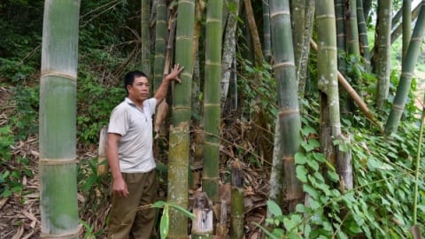 Những khu 'rừng ma' ở Sơn La: [Bài 2] Luật tục ở bản Kết Nà