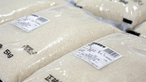 Over half of rice producing firms feel store rice prices 'too high'