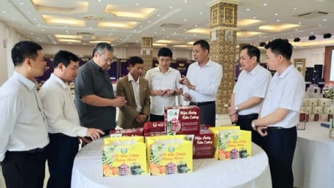 Sơn La đánh giá, phân hạng 7 sản phẩm OCOP