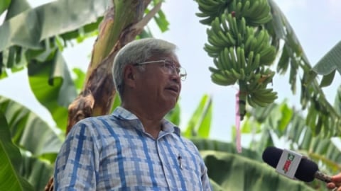 Sắp cưỡng chế trang trại của 'vua chuối' Võ Quan Huy