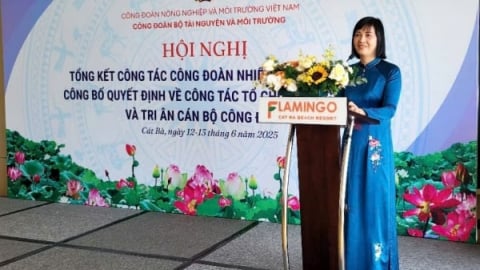 Công đoàn Bộ Tài nguyên và Môi trường khép lại một hành trình đầy dấu ấn