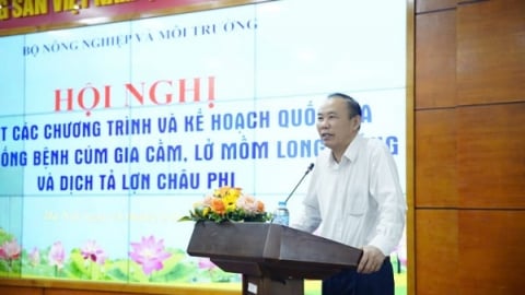 Phòng dịch chắc chắn để chăn nuôi gia nhập thị trường cao cấp