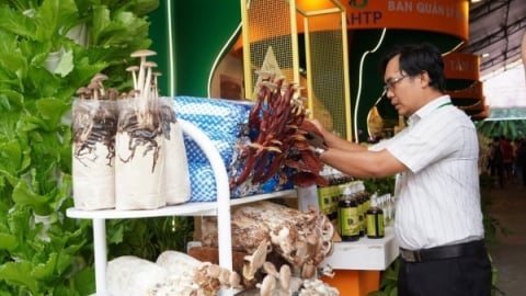 Nông nghiệp TP.HCM gắn với Hội nhập ASEAN
