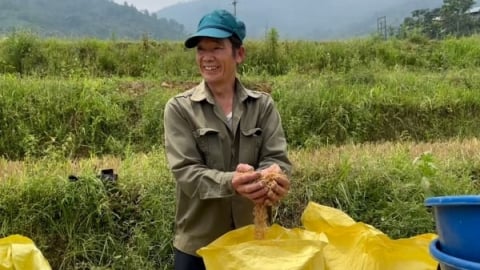 Giấc mơ Séng Cù - Hạt ngọc giữa đại ngàn Mường Vi