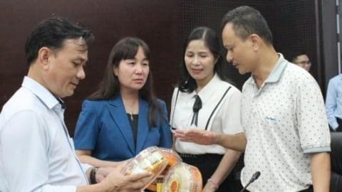 Đánh giá, phân hạng đưa sản phẩm OCOP Đà Nẵng vươn xa