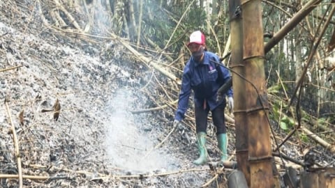 Bắc Kạn oằn mình phòng, chống ‘giặc’ lửa