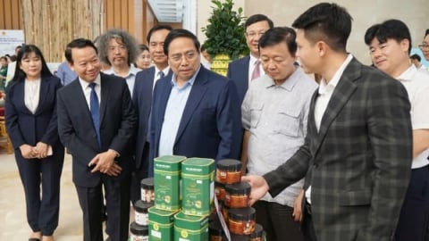 Đồng Nai có 8 sản phẩm OCOP đạt chuẩn 5 sao