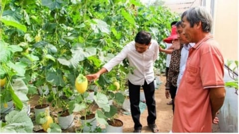 Trà Vinh: Thực hiện đạt và vượt 21/26 chỉ tiêu Nghị quyết đề ra