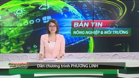 Bản tin Truyền hình Nông nghiệp và Môi trường số 26/2025