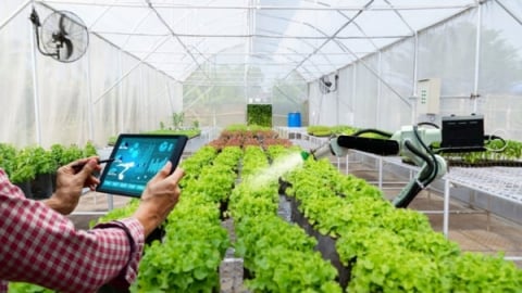 Chuyển đổi số, nông nghiệp xanh vào danh mục chi ngân sách chính thức