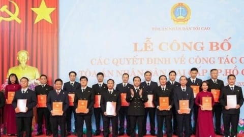 TP.HCM bổ nhiệm 19 Chánh án và 96 Phó chánh án tòa án khu vực