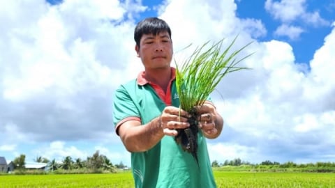 Nông nghiệp sinh thái: Cần thu hẹp khoảng cách giữa chính sách và thực tiễn