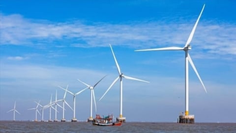 Việt Nam và Anh trao đổi 5 vấn đề về điện gió