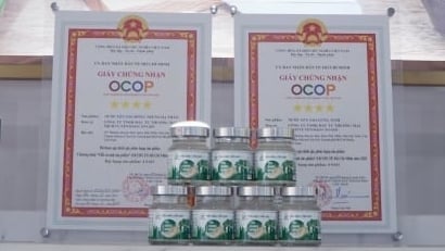 Yến Đảo Cần Giờ có thêm 16 sản phẩm OCOP 4 sao