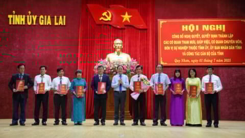 Ông Cao Thanh Thương giữ chức Giám đốc Sở Nông nghiệp và Môi trường Gia Lai