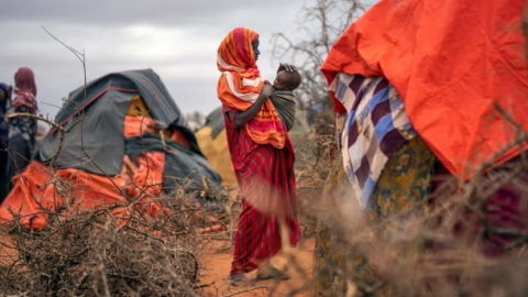 Droughts worldwide pushing tens of millions towards starvation