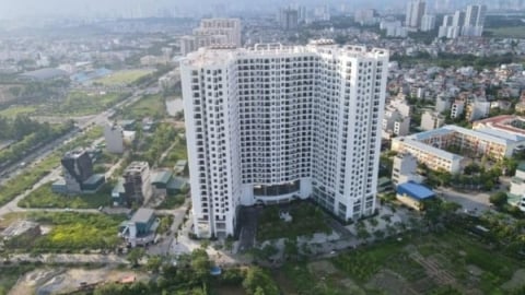 Ai tiếp tay phá nát quy hoạch Khu đấu giá Tứ Hiệp?