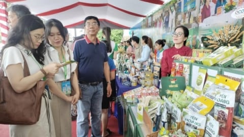 124 xã, phường ở Vĩnh Long đều có sản phẩm đạt chứng nhận OCOP