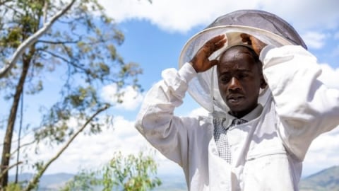 FAO hiện đại hóa nghề nuôi ong tại Rwanda và Việt Nam qua sáng kiến OCOP