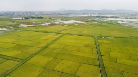 Nam Sudan, Nepal tìm hiểu kinh nghiệm phát triển nông thôn bền vững của Việt Nam