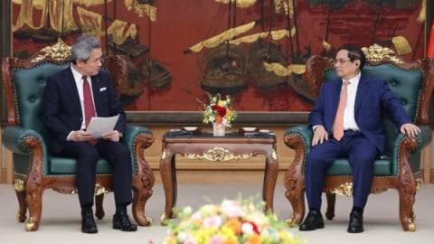 Thủ tướng đề nghị Tập đoàn Marubeni hợp tác sản xuất giống cây trồng, vật nuôi