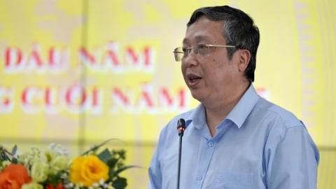 Gấp rút hoàn thiện thể chế, ứng phó kịp thời với biến động nông vụ