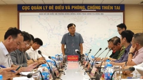 Bộ Nông nghiệp và Môi trường phân công cán bộ xuống địa bàn túc trực phòng chống bão WIPHA