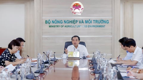 Ba trụ cột trong công tác sửa đổi chính sách, pháp luật