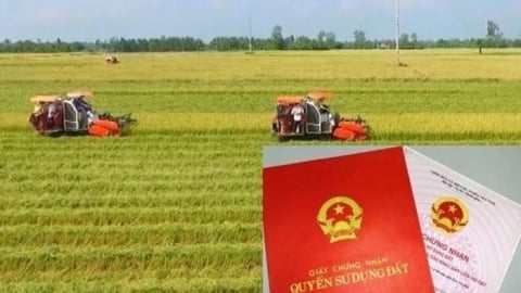 Đề xuất bổ sung 2 trường hợp bị thu hồi đất