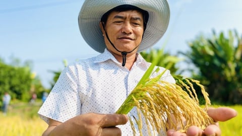 Xây dựng chiến lược trồng trọt giảm phát thải quy mô quốc gia