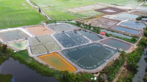 Hợp tác Pháp - Việt tìm giải pháp nuôi trồng thủy sản tuần hoàn