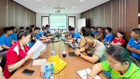 Sitto kiên định giá trị cốt lõi, vững bước giữa biến động