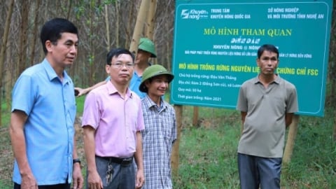 Vùng nguyên liệu gỗ lớn phải gắn chứng chỉ quản lý rừng bền vững