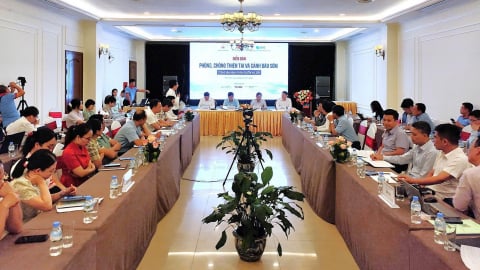 Tổ chức lại mô hình '4 tại chỗ' linh hoạt hơn để phòng, chống thiên tai