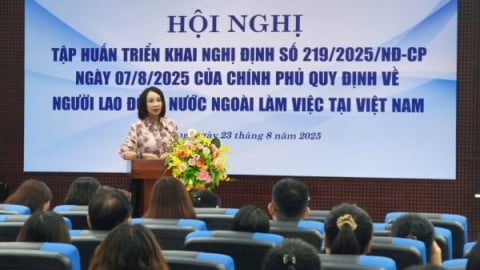 Đà Nẵng hưởng lợi từ Nghị định 219 về lao động nước ngoài