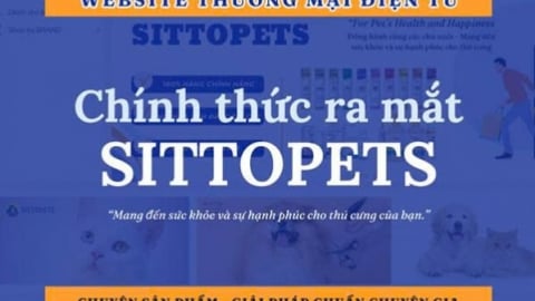 Sitto Việt Nam ra mắt nền tảng thương mại điện tử thú cưng