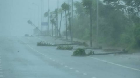 2 người chết, hàng nghìn ha nông nghiệp thiệt hại do bão số 5