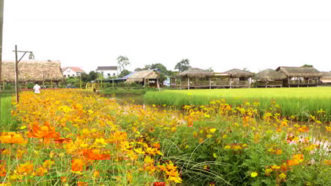 Mạng xã hội là cầu nối đưa du khách đến với Thôn trang Liên Nhật